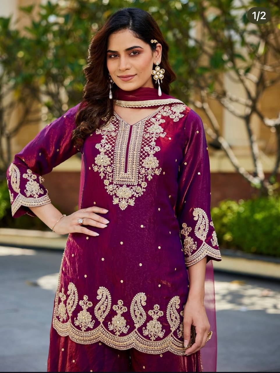 Timeless Charm: Embroidered Ethnic Wear - Image 3